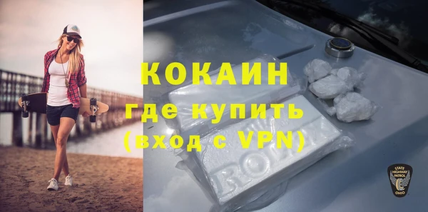 гидра Бородино