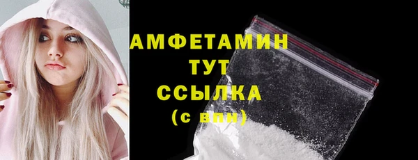 гидра Бородино