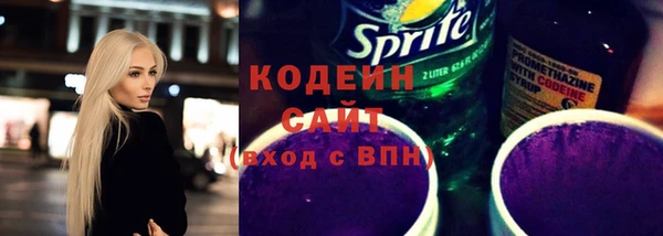 скорость Каменка