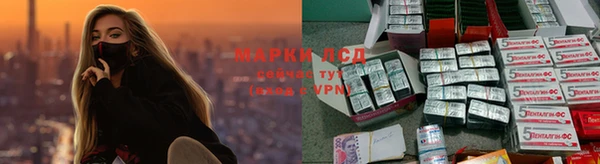 спайс Каменногорск