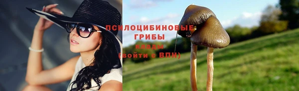 крисы Бугульма