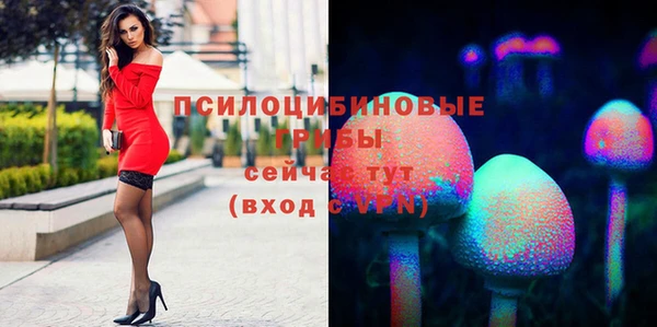 стафф Бронницы
